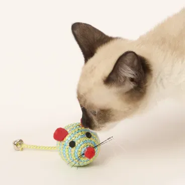 Ratinho verde para gatos